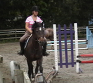 United Housing Horse Farm